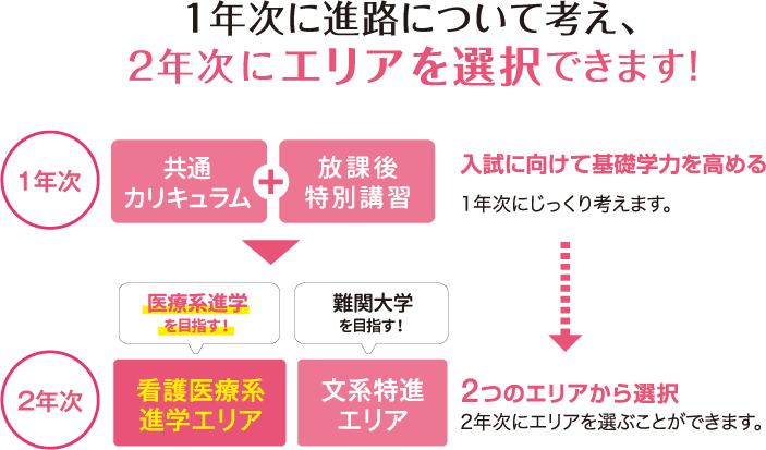 2年次にエリアを選択できます!